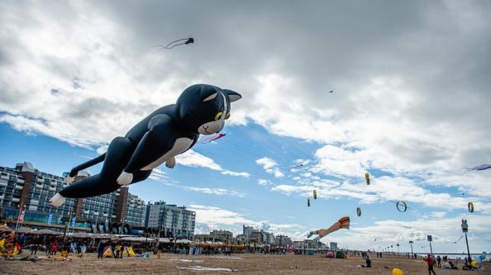 Meriahnya Langit Belanda Dipenuhi 'Paus-Gurita Terbang' THE HAGUE, NETHERLANDS - 2022/09/25: People are seen checking the kites in the shape of whales. The International Kite Festival Scheveningen makes the most of the consistent prevailing winds blowing along The Hague's beach resort. Kite builders and enthusiasts from around the world come together to fly the fruits of their creative labor. Almost at the end of the event, The Holland Kite Team flew their large kite, which officially received the Guinness World Record during the Bristol International Kite Festival, in 1997. The annual event sees the skies over the southern part of Scheveningen beach filled with giant kites of every shape and colour. (Photo by Ana Fernandez/SOPA Images/LightRocket via Getty Images)