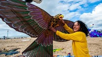 Pantai Den Haag dipilih karena angin disana bertiup secara konsisten, cocok untuk para penerbang layang-layang.  