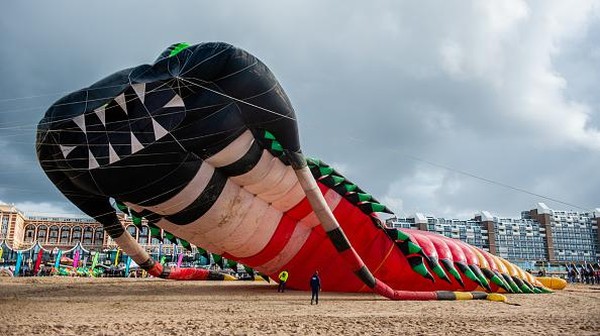 Di festival ini juga Tim Holland Kite menerbangkan layang-layang besar mereka yang secara resmi resmi menerima Rekor Dunia Guinness selama Festival Layang-layang Internasional Bristol, pada tahun 1997.  
