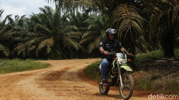 Mantri BRI Awang mengendarai sepeda motor menembus hutan sawit, Jagoi Babang, Kalimantan Barat, Selasa (6/9/2022). Mulanya Awang bekerja sebagai teller, lalu menjadi customer service, bagian agen Brilink dan kini ia dipercaya bertugas menjadi mantri.