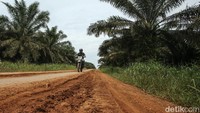 Awang berdinas di BRI Unit Seluas dengan jangkauan tiga kecamatan meliputi Seluas, Jagoi Babag dan Sebujit. Dimana jarak yang ditempuh dapat memakan waktu hingga berjam-jam.