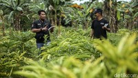 Biasanya Awang akan mendatangi nasabah yang ingin mengajukan pinjaman.