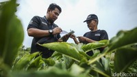 Awang memberikan edukasi kepada nasabah terkait transaksi keuangan, baik pemasukan hingga pengeluarannya.