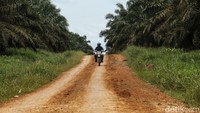 Mantri BRI, Awang mengendarai sepeda motor menembus hutan sawit, Jagoi Babang, Kalimantan Barat, Selasa (6/9/2022).