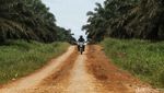 Perjuangan Mantri BRI Tembus Hutan Sawit Kalimantan