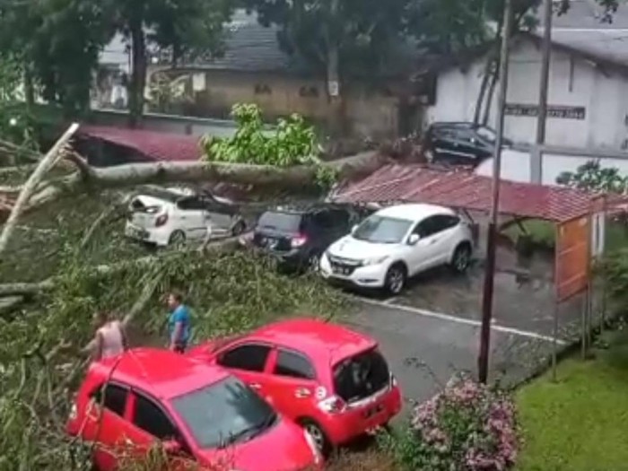 Pohon tumbang di RSUP Haji Adam Malik Medan