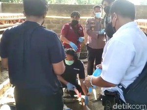 Dua Warga Blitar Tewas Tersengat Listrik Saat Perbaiki Kandang Ayam