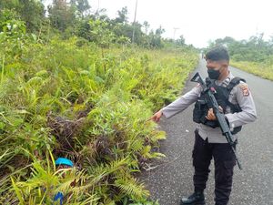 Misteri Wanita di Yahukimo Ditemukan Tewas Mengenaskan di Tepi Jalan