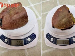 Getok Harga Ubi Panggang, Beda Ukuran Ditagih Harga Sama