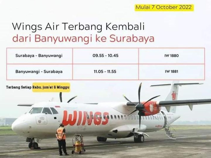 pesawat surabaya-banyuwangi