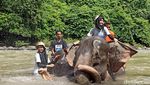 Momen Keseruan Main Bareng Gajah di Little Afrika Aceh
