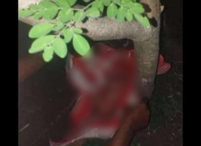 Bayi ditemukan di bawah pohon kelor Bojonegoro