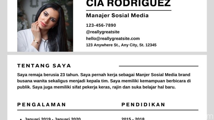 Contoh CV format ATS