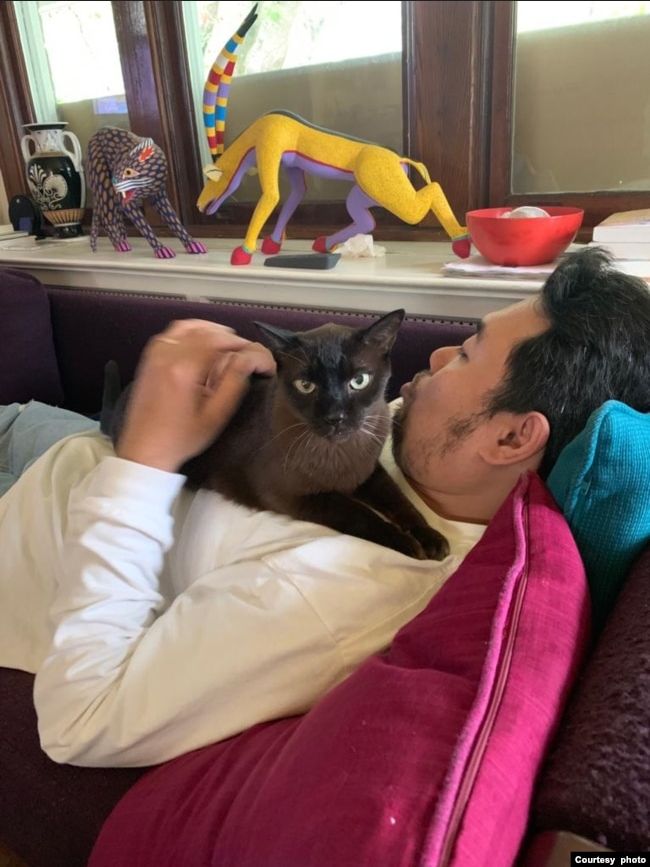Daden dan Juju Jadi Penjaga Kucing di AS