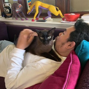 Kisah Pria Kerja di AS Jadi Penjaga Kucing, Santai-santai Sehari Dapat Sejuta Kisah Pria Kerja di AS Jadi Penjaga Kucing, Santai-santai Sehari Dapat Sejuta