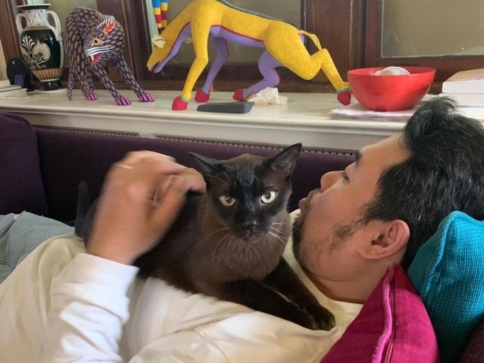 Daden dan Juju Jadi Penjaga Kucing di AS Daden dan Juju Jadi Penjaga Kucing di AS