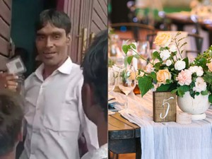 Kacau! Pesta Ini Dihadiri Tamu Tak Diundang yang Mengincar Makanan