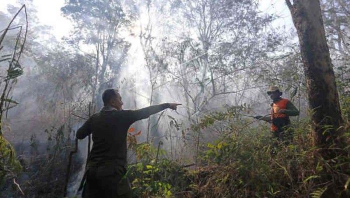 Kebakaran di Gunung Ciremai, Jawa Barat.