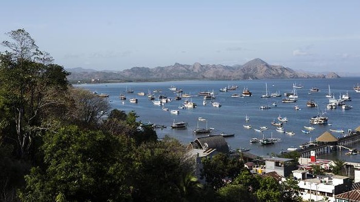 Kunjungan Turis Meningkat, Labuan Bajo Dipenuhi Kapal Pinisi LABUAN BAJO, INDONESIA - SEPTEMBER 27: A various tourist boat are seen at Labuan Bajo marina, gateway to Komodo National Park in East Nusa Tenggara, Indonesia, on September 27, 2022. The Indonesian Central Statistics Agency (BPS) noted that the number of foreign tourist arrivals had increased after the Covid-19 pandemic in July 2022, more than 470,000 foreign tourist arrivals were reported, the highest number since the easing of restrictions on the COVID-19 pandemic. This has a domino effect in the national economy. The Indonesian government hopes that the improvement in the tourism sector will be able to contribute to the post-pandemic economic recovery. (Photo by Agoes Rudianto/Anadolu Agency via Getty Images)