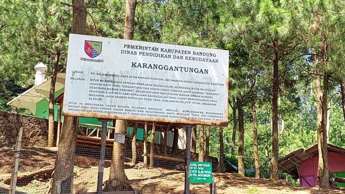 Monyet Ekor Panjang di Karang Gantungan Monyet Ekor Panjang di Karang Gantungan
