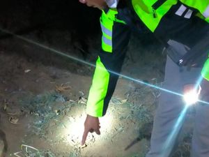 Kakek Ditemukan Tewas di Kebun Jeruk Pasuruan, Diduga Korban Pembunuhan