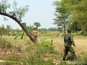Sederet Fakta Pria ODGJ Ngamuk Bawa Celurit-Sekap Ibunya 2 Hari Jadi Tersangka