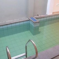 Menariknya, terdapat kolam renang di dalam rumah. Walau ukurannya mini, kolam tersebut pas untuk memanjakan anak-anak. (Foto: YouTube/Nathalie Holscher)