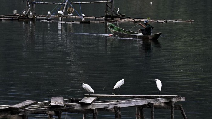 Terbuai Indahnya Danau Laut Tawar di Takengon, Aceh A general view shows Laut Tawar lake in Takengon, Indonesia's Aceh province on September 19, 2022. (Photo by CHAIDEER MAHYUDDIN / AFP) (Photo by CHAIDEER MAHYUDDIN/AFP via Getty Images)