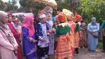 Mengenal Tradisi Giring Sapi Saat Nikahan di Sumatera Barat