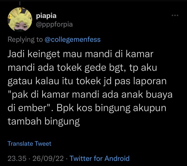 Kabarnya sampai saat ini si bapak dan anak kosnya pun masih bertatap-tatapan dan sama-sama bingung. Lagian bisa-bisanya tokek dibilang anak buaya. Foto: Twitter