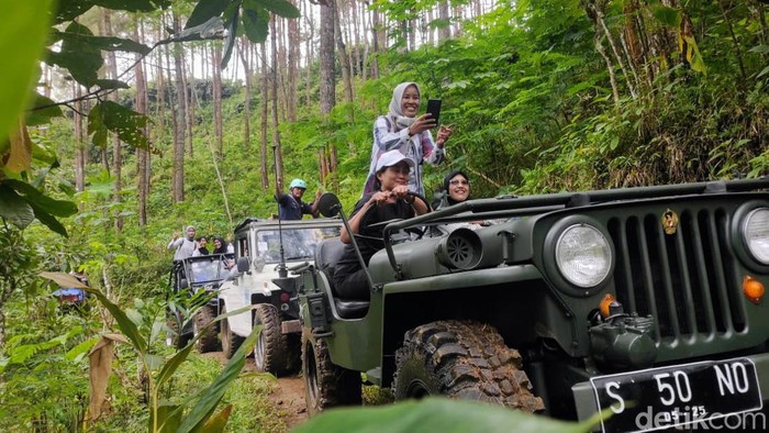 Penunjung tengah menikmati Hutan Pinus Kalilo di Purworejo, Jawa Tengah.