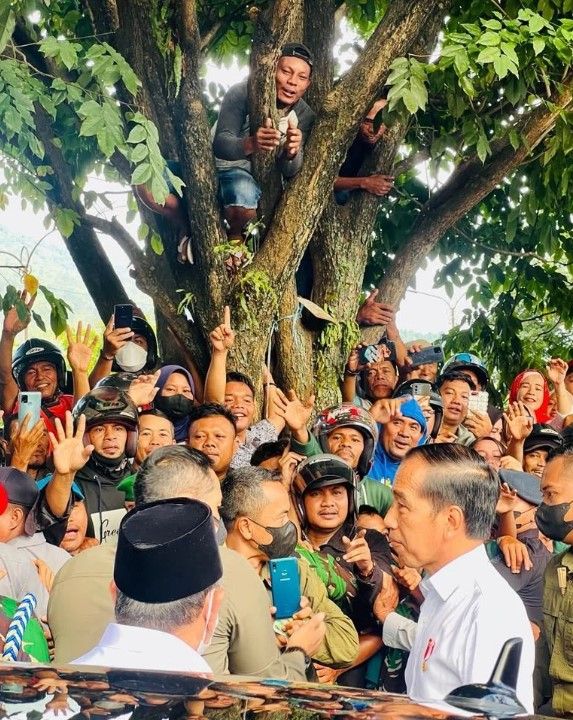 Hebohnya Warga Ternate Sambut Jokowi, Ada yang Panjat Pohon! (dok Instagram)