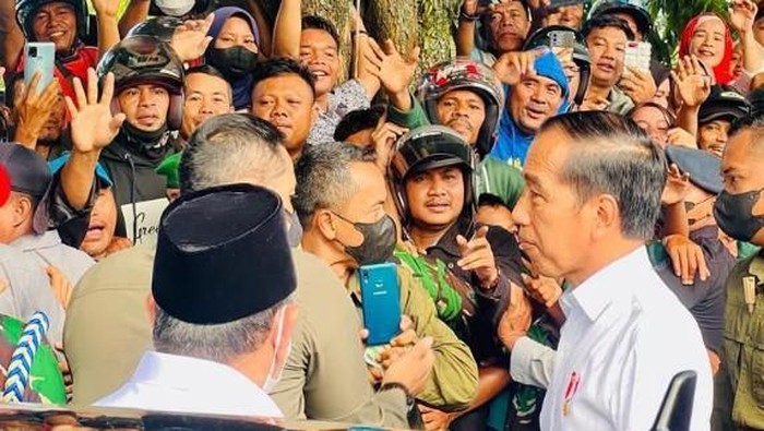 Begini Hebohnya Warga Ternate Sambut Jokowi, Ada yang Panjat Pohon!