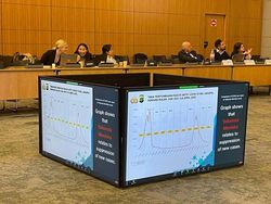 Indonesia Paparkan Penanganan COVID-19 Berbasis Komunikasi Digital dan Sosial