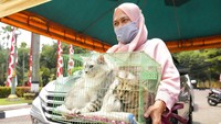 Seorang wanita membawa kucing peliharaannya untuk divaksinasi di Jakarta, Rabu (28/9/2022). World Rabies Day adalah sebuah kampanye global yang diselenggarakan pada 28 September setiap tahun.