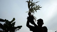 detikcom bersama BRI mengadakan program Tapal Batas yang mengulas perkembangan ekonomi, infrastruktur, hingga wisata di beberapa wilayah terdepan Indonesia. Untuk mengetahui informasi dari program ini ikuti terus berita tentang Tapal Batas di tapalbatas.detik.com!