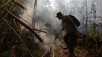 Petugas gabungan dari Taman Nasional Gunung Ciremai (TNGC) dibantu TNI, Polri, dan BPBD Kabupaten Kuningan, Jawa Barat, berupaya memadamkan api yang membakar kawasan lereng Gunung Ciremai. 