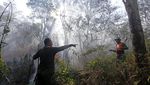 Penampakan Api yang Membakar Hutan di Gunung Ciremai