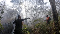 Kurang lebih 150 petugas gabungan dari TNI, Polri, BPBD, dan masyarakat sekitar berjibaku memadamkan api.