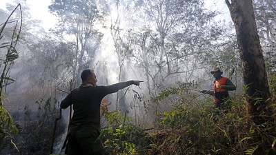 Penampakan Api yang Membakar Hutan di Gunung Ciremai