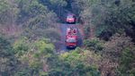 Penampakan Api yang Membakar Hutan di Gunung Ciremai