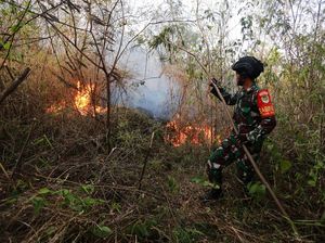 Awas! Jangan Buka Lahan Sembarangan di TN Gunung Ciremai