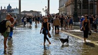 Fenomena Alta Acqua, puncak pasang surut yang terjadi secara berkala di Laut Adriatik, membuat banjir pasang kembali merendam wilayah Venesia.
