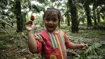 Semangat Petani Sawit Wanita di Kalimantan Barat