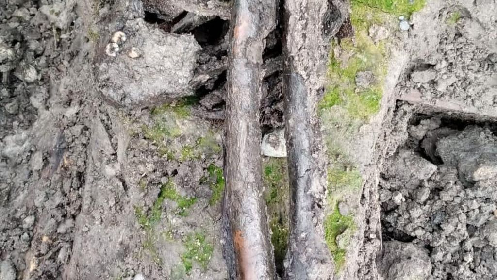 Warga Temukan 4 Tengkorak Diduga Leluhur di Tapanuli Utara Sumut