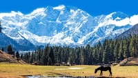 Posisi ke-9 ada Nanga Parbat yang terletak di bagian Utara Pakistan. Gunung ini memiliki tinggi 8.126 mdpl. Dok. wikipedia.org