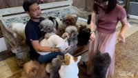 Berfoto bersama anjing di Rumah Guguk