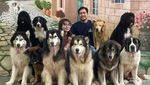 Gemasnya Anjing-anjing di Rumah Guguk, Yuk ke Sini!