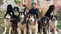 Berfoto bersama anjing di Rumah Guguk