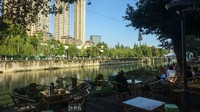 Chengdu merupakan kota di China yang dikhususkan menjadi pusat habitat panda raksasa.  